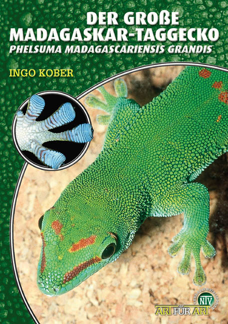 Der Große Madagaskar-Taggecko - Ingo Kober