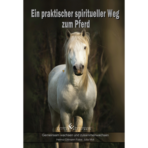 Ein praktischer spiritueller Weg zum Pferd - Helmut Dillmann