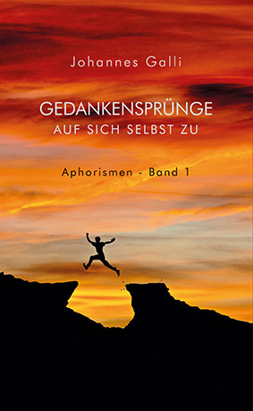 Gedankensprünge auf sich selbst zu (Band 1) - Johannes Galli