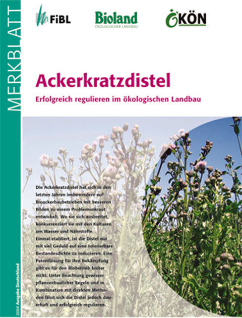 Ackerkratzdistel