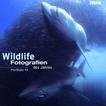 Wildlife-Fotografien des Jahres