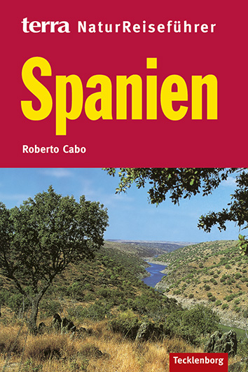 Spanien - Roberto Cabo