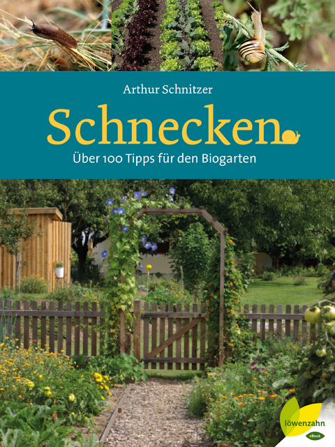 Schnecken - Arthur Schnitzer