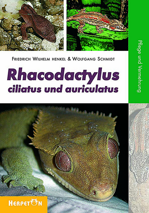 Rhacodactylus ciliatus und auriculatus - Friedrich W Henkel, Wolfgang Schmidt