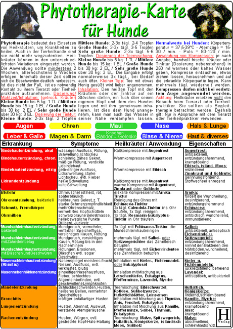 Phytotherapie für Hunde - Tierheilkunde Karte