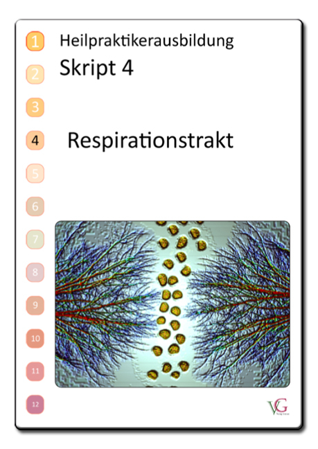 Heilpraktiker Heilpraktikerausbildung Skript 4 Respirationstrakt - P. Grimm