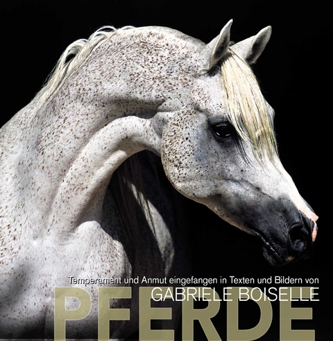 Pferde - Gabriele Boiselle