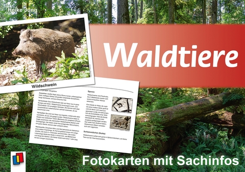 Waldtiere - Heike Jung