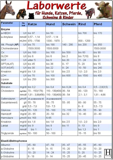 Laborwerte-Karte für Hunde, Katzen, Pferde, Schweine & Rinder