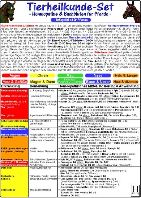 Homöopathie & Bachblüten für Pferde - Tierheilkunde-Karten Set