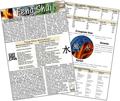 Feng Shui - Medical Card