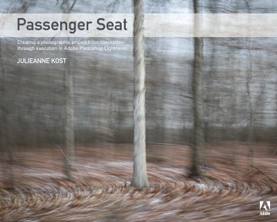 Passenger Seat - Julieanne Kost