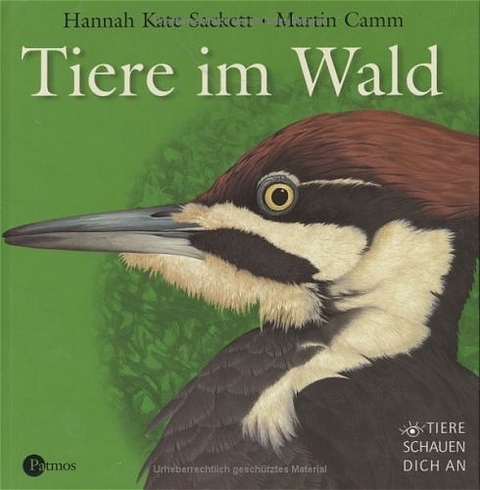 Tiere schauen dich an - Hannah K Sackett