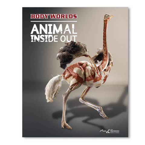 Body Worlds - Animal Inside Out (EN) - Gunther von Hagens, Angelina Whalley