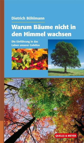 Warum Bäume nicht in den Himmel wachsen - Dietrich Böhlmann