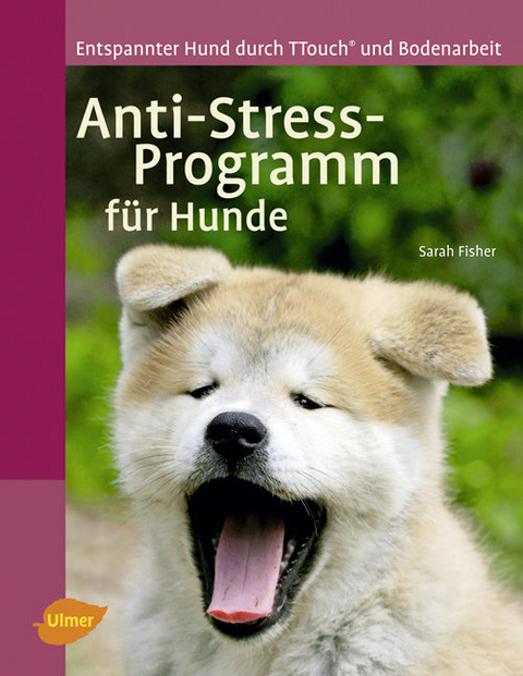 Anti-Stress-Programm für Hunde - Sarah Fisher