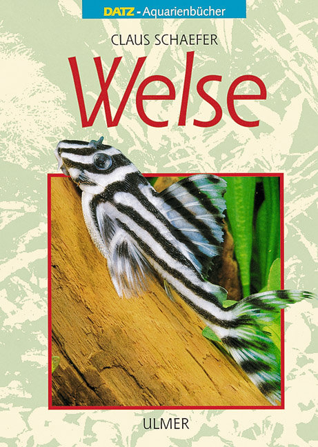 Welse - Claus Schaefer