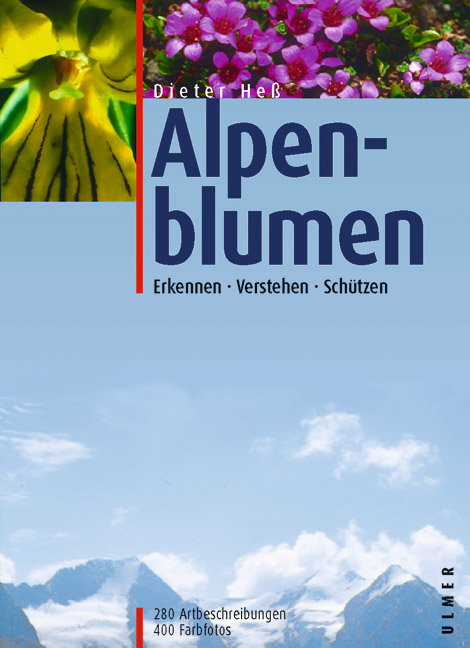 Alpenblumen - Dieter Heß