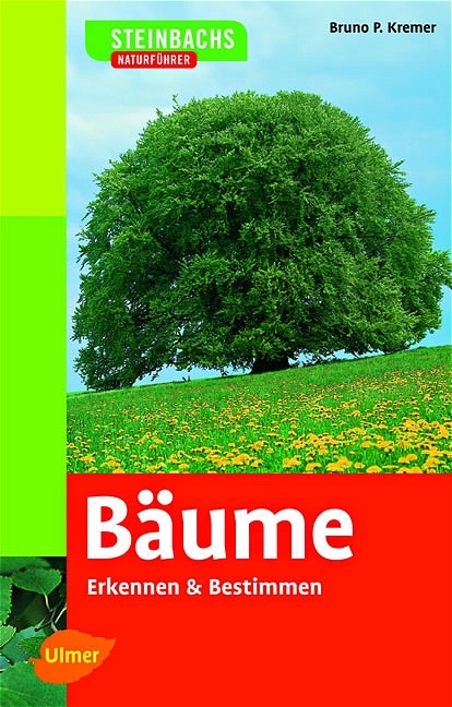 Bäume - Bruno P Kremer