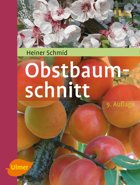 Obstbaumschnitt - Heiner Schmid