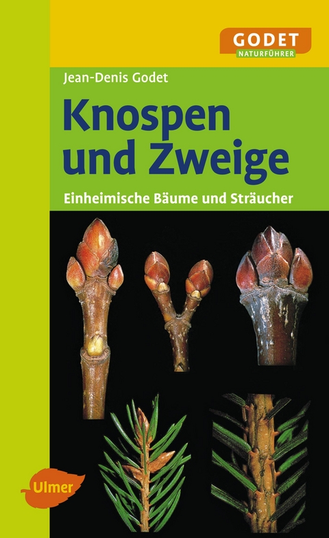 Knospen und Zweige - Jean-Denis Godet