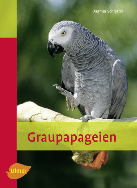 Graupapageien - Dagmar Schratter