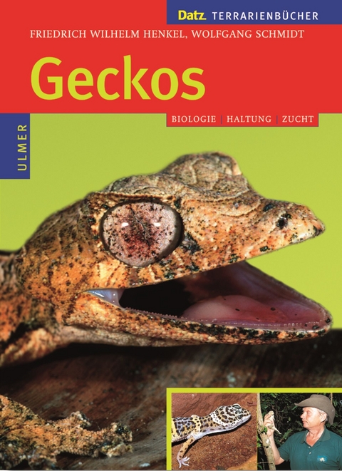 Geckos - Friedrich Wilhelm Henkel, Wolfgang Schmidt