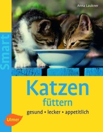 Katzen füttern - Anna Laukner