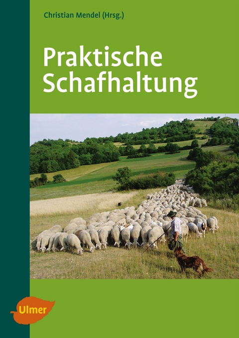 Praktische Schafhaltung - Christian Mendel