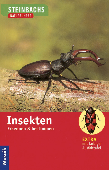 Insekten - Heiko Bellmann