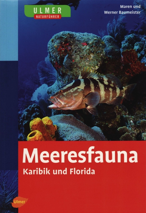 Ulmer Naturführer Meeresfauna Karibik und Florida - Werner Baumeister