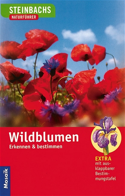 Wildblumen - Bruno B Kremer