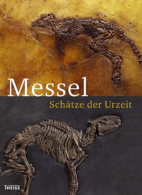 Messel - 