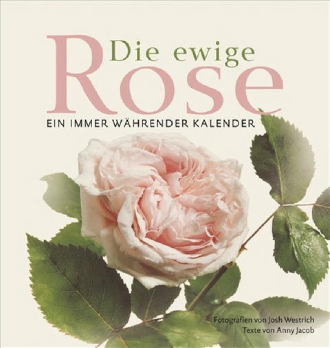 Die ewige Rose - Anny Jacob