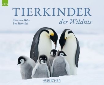 Tierkinder der Wildnis - Thorsten Milse, Uta Henschel