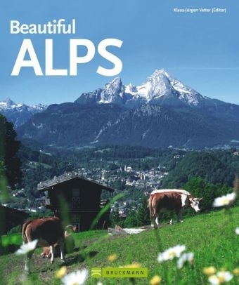 Beautiful Alps - 