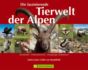 Die faszinierende Tierwelt der Alpen - Marie L von Mandelsloh