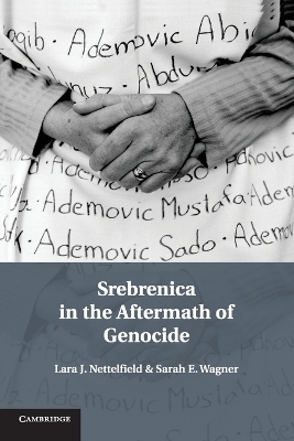 Srebrenica in the Aftermath of Genocide - Lara J. Nettelfield, Sarah E. Wagner