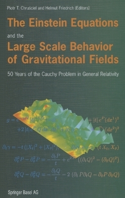 The Einstein Equations and the Large Scale Behavior of Gravitational Fields - 