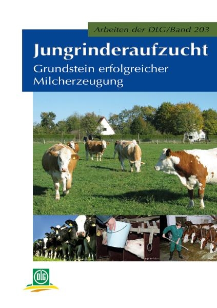 Jungrinderaufzucht