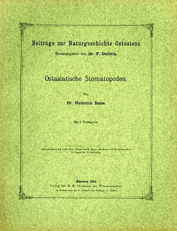 Ostasiatische Stomatopoden