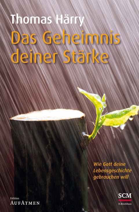 Das Geheimnis deiner Stärke - Thomas Härry