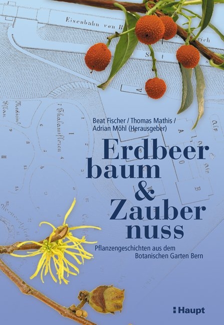 Erdbeerbaum & Zaubernuss - 