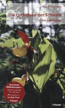 Die Orchideen der Schweiz - Beat A Wartmann