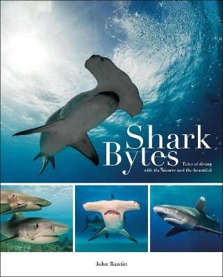 Shark Bytes - John Bantin