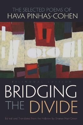 Bridging the Divide - 