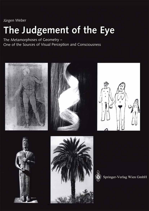 The Judgement of the Eye - Jürgen Weber