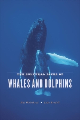 The Cultural Lives of Whales and Dolphins - Hal Whitehead, Luke Rendell