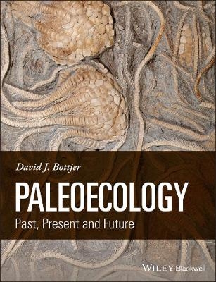 Paleoecology - David J. Bottjer