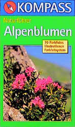 Alpenblumen - Christine Jaitner